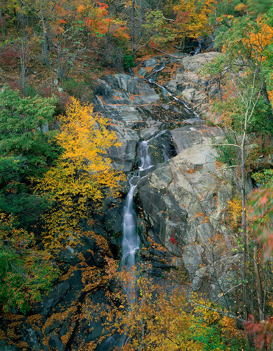 Whiteoak Canyon Falls No. 1 - Stream